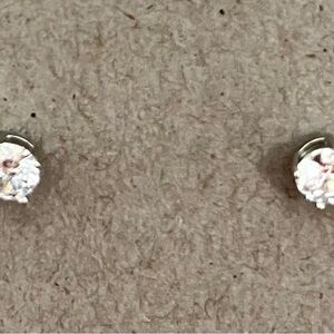 Elegant Silver Stud Earrings